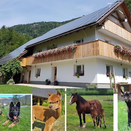 Domacija Loncnar- Apartment Bohinj Dış mekan fotoğraf