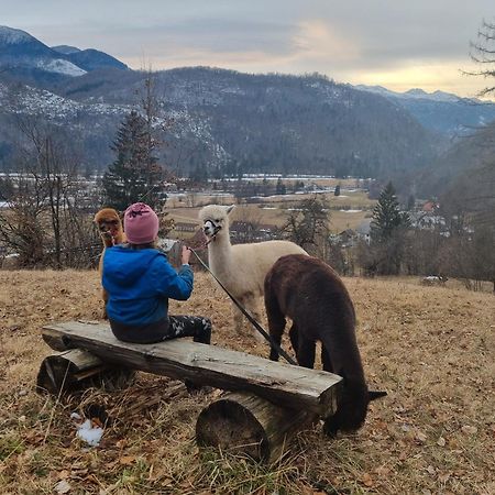 Domacija Loncnar- Apartment Bohinj Dış mekan fotoğraf