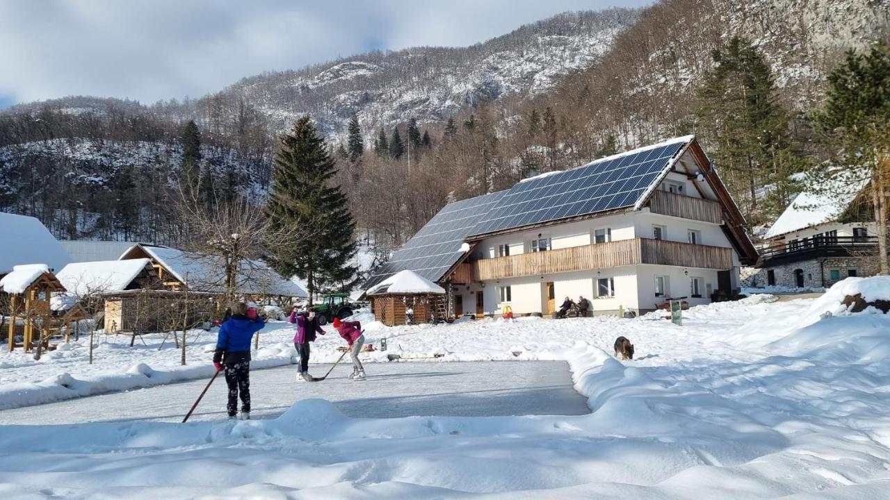 Domacija Loncnar- Apartment Bohinj Dış mekan fotoğraf