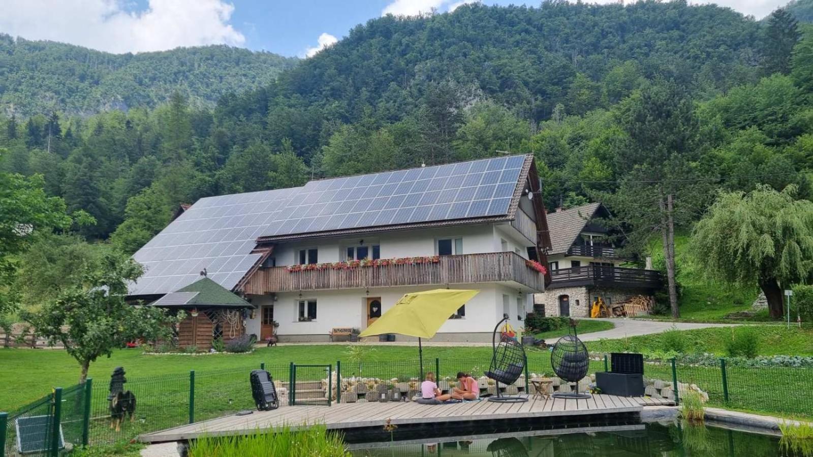 Domacija Loncnar- Apartment Bohinj Dış mekan fotoğraf