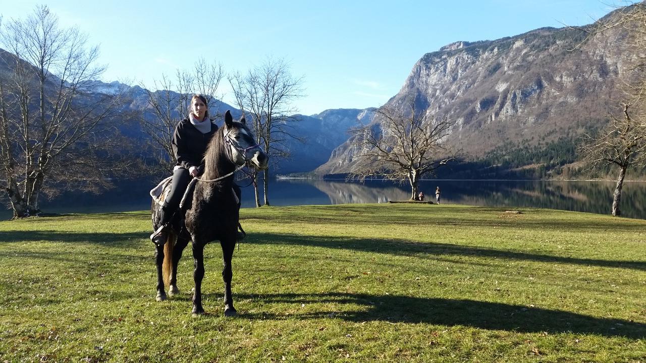 Domacija Loncnar- Apartment Bohinj Dış mekan fotoğraf