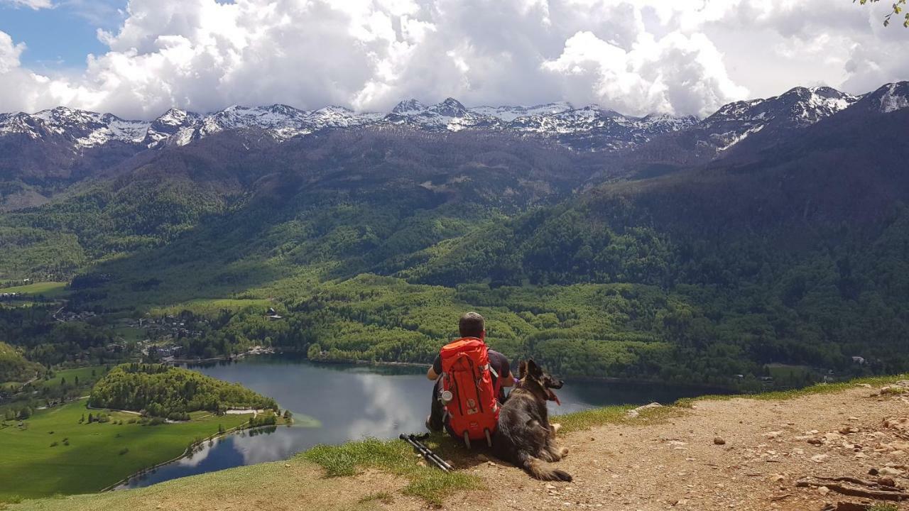 Domacija Loncnar- Apartment Bohinj Dış mekan fotoğraf